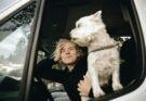 Must-Have Dog Travel Accessories For A Worry-Free Adventure